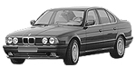 BMW E34 P3191 Fault Code